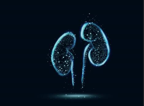 吃什么补肾壮阳最快最简单 推荐三款食物能够有效补肾壮阳